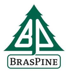 Braspine