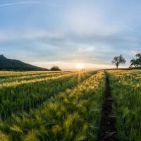 Agroindústria